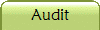 Audit